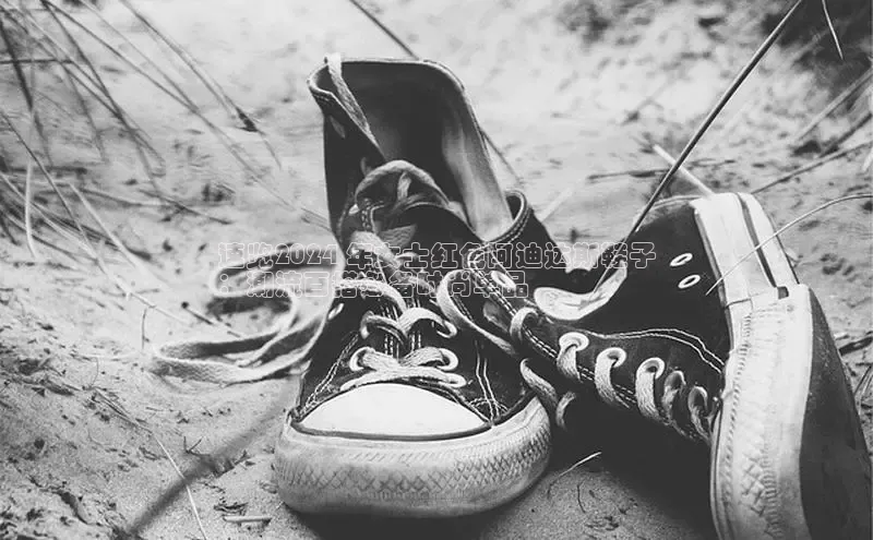 意昂3登陆入口顺丰速览2024 年女士红色阿迪达斯鞋子
：潮流百搭必备时尚单品