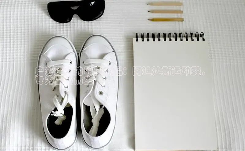 意昂3官网下载网易户外探险的最佳伴侣：阿迪达斯运动鞋，
专为冒险而生