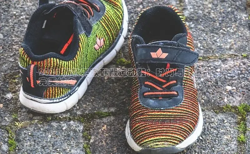 意昂3官网登录百度学术2024 新款男款韩版运动鞋：时尚与舒适的
完美结合