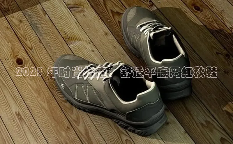 意昂3官网登录百度集团2023 年时尚指南：舒适平底网红秋鞋
