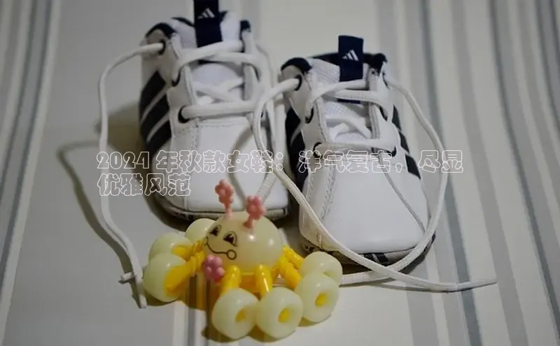 意昂3手机版登陆入口在哪里普信公司2024 年秋款女鞋：洋气复古，尽显
优雅风范