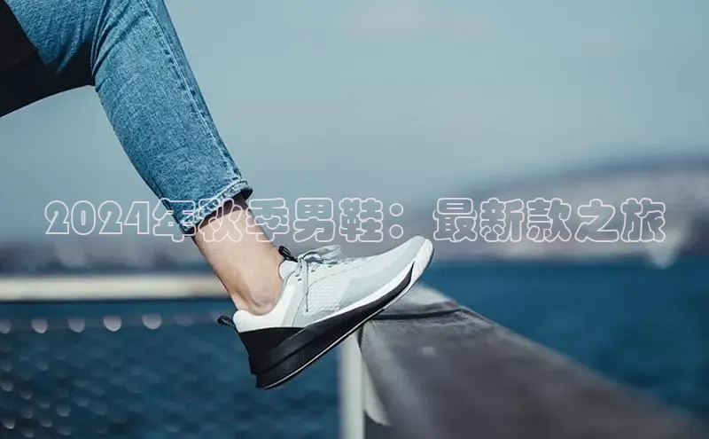 意昂3平台客服轻美电器2024年秋季男鞋：最新款之旅