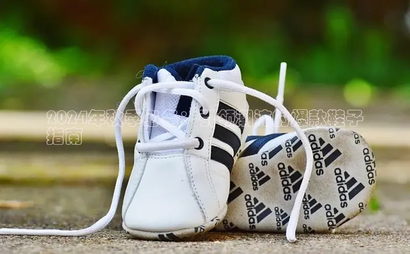 意昂3官方网入口百度网盘2024年秋季必备：引领潮流的爆款鞋子
指南