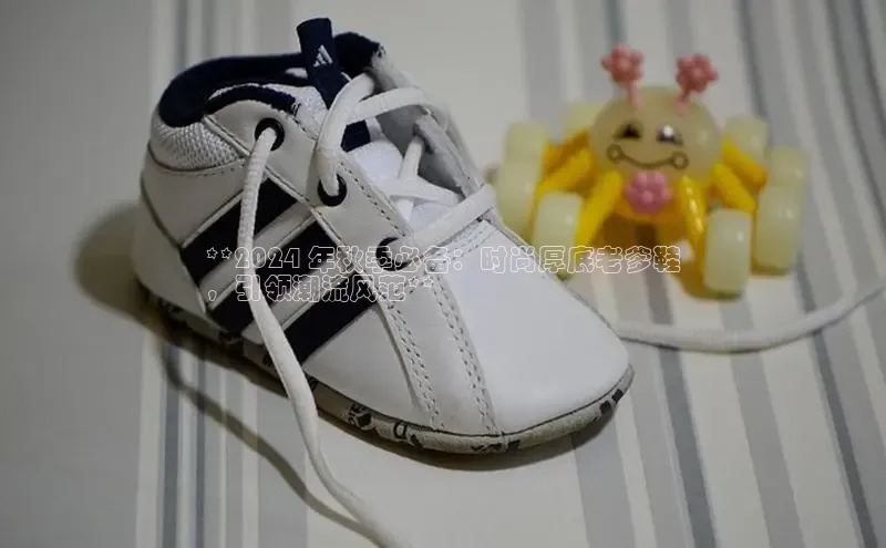 意昂3手机版官网宇信科技**2024 年秋季必备：时尚厚底老爹鞋
，引领潮流风范**