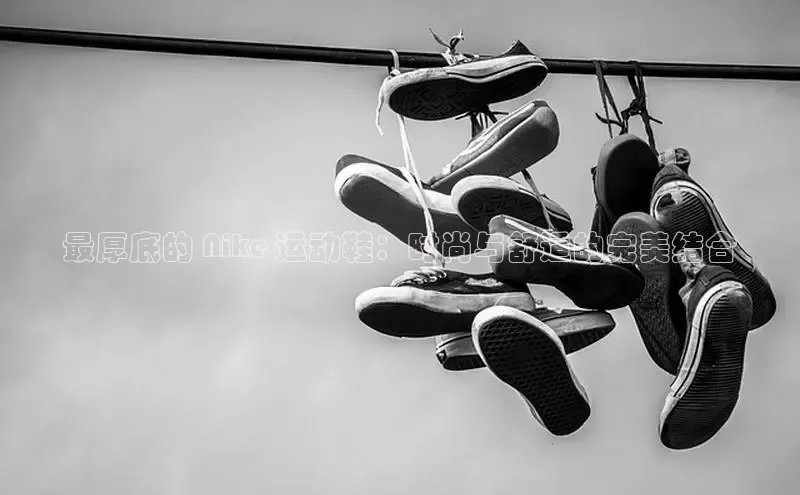 意昂3登陆入口顺丰