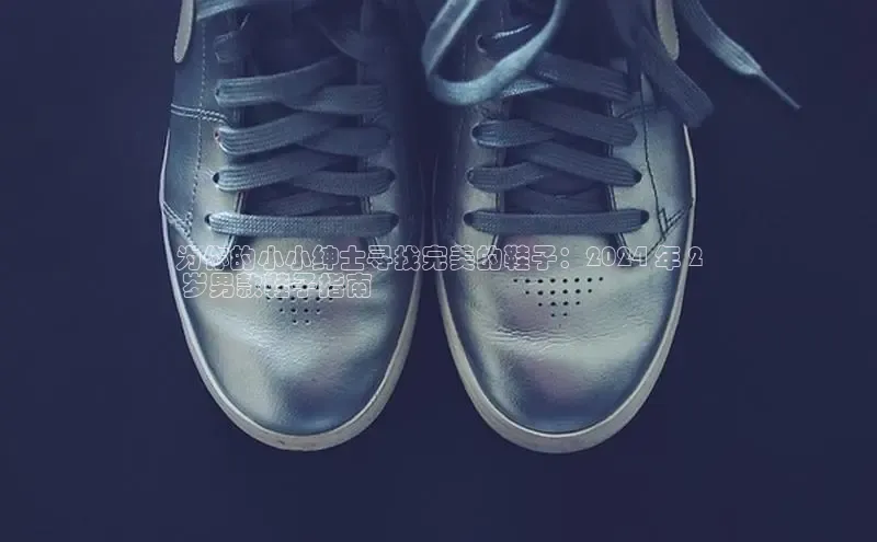 意昂3登陆入口百度翻译为你的小小绅士寻找完美的鞋子：2024 年 2
 岁男款鞋子指南