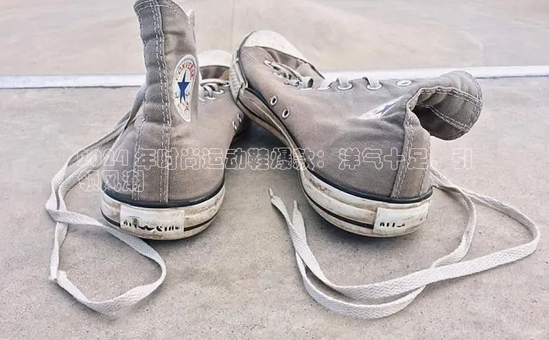 意昂3登陆入口巴美列捷福2024 年时尚运动鞋爆款：洋气十足，引
领风潮