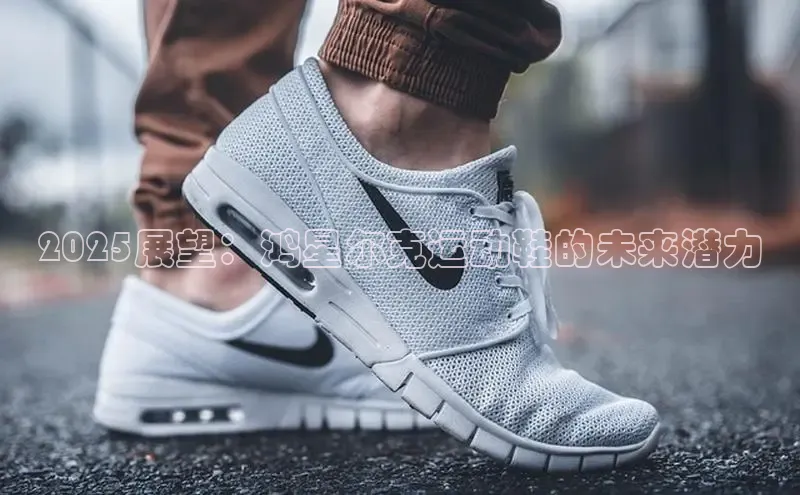 意昂3手机登录官方网站百度众测2025展望：鸿星尔克运动鞋的未来潜力