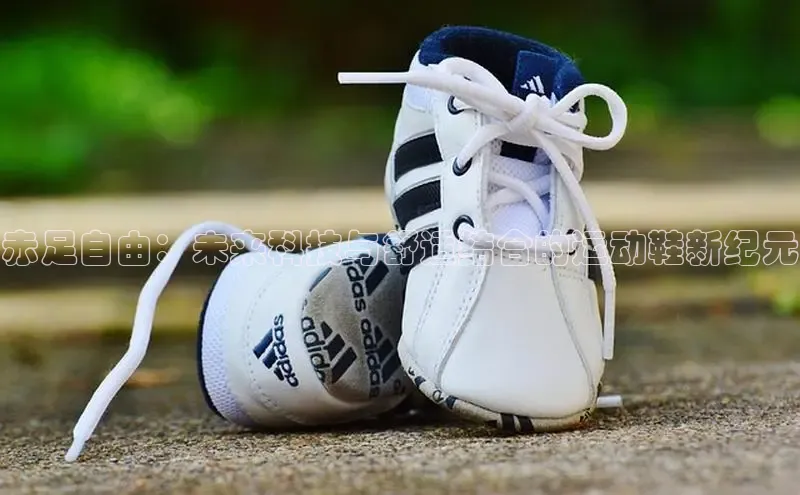 赤足自由：未来科技与舒适结合的运动鞋新纪元