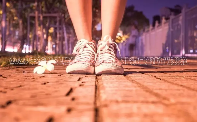 2025年新款骆驼增高运动鞋，引领足部时尚潮流